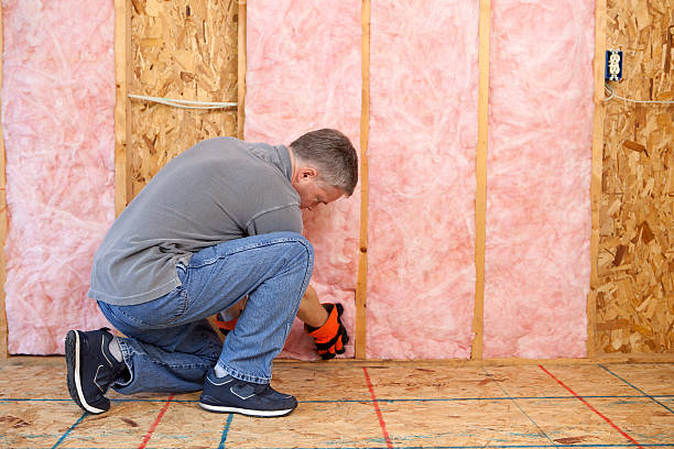 Best Insulation Inspection Services  in Lowell, NC